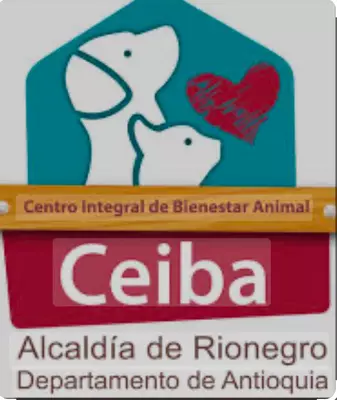 Alcaldía de Rionegro rechaza categóricamente el abandono de 3 caninos en las puertas del CEIBA