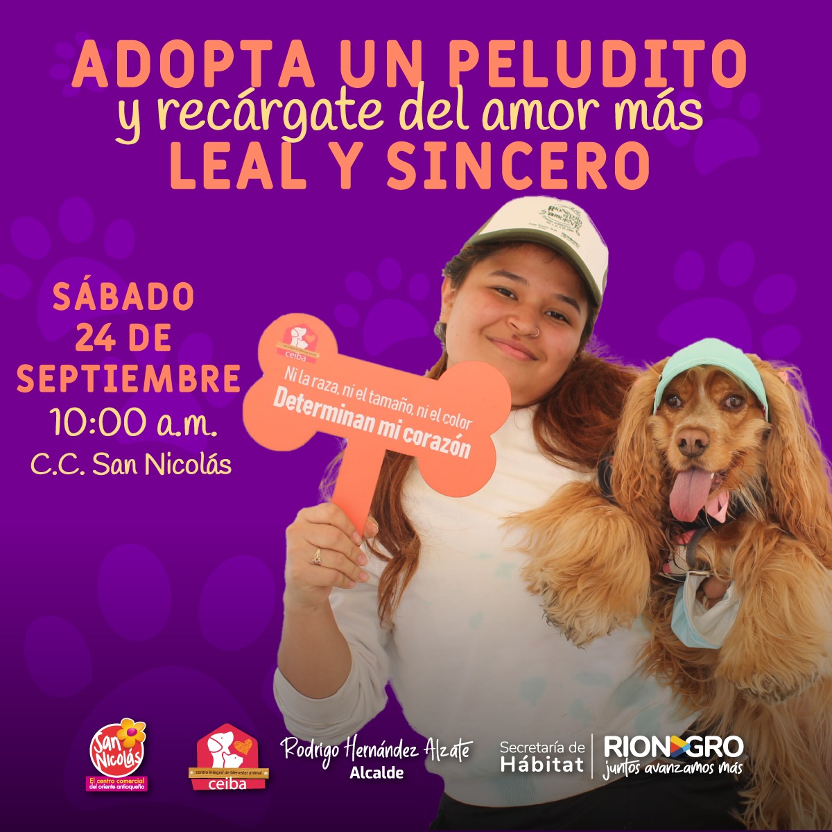 En Rionegro se promueve la adopción responsable de peluditos - Alcaldía de  Rionegro
